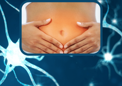Amélioration digestive