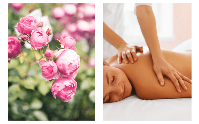 Soin revitalisant du corps Dr. Hauschka – 1h30