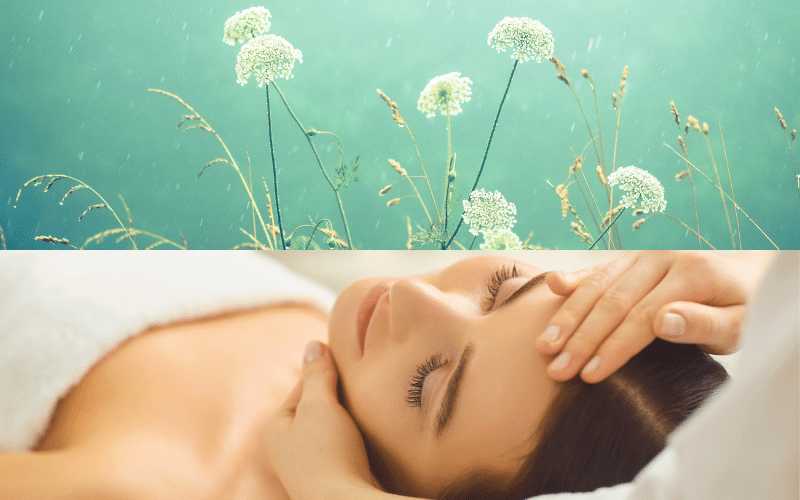 Soin revitalisant du corps Dr. Hauschka